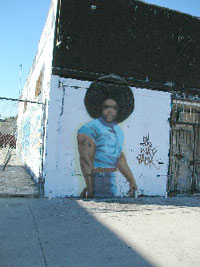 -IMAGE-