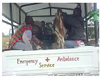 bus_service_and_good_hope_7_3.jpg