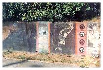 seattle_wall_2_4.jpg
