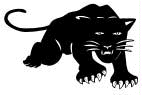 Panther