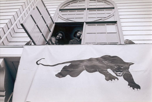 Panthers watching outside from window.