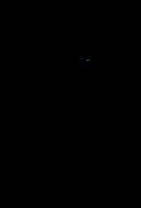 Animated Panther